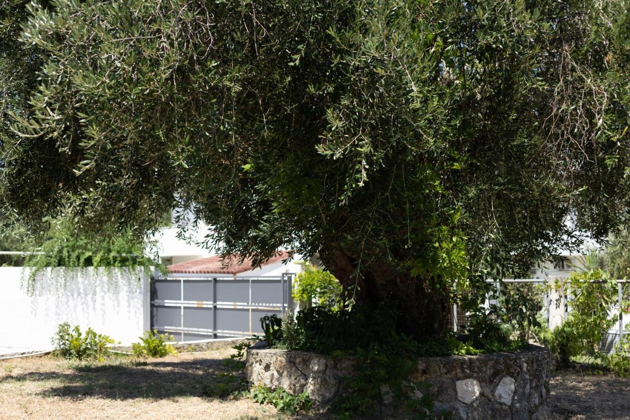 Apartmán Apricus Domum Kato Korakiana Exteriér fotografie