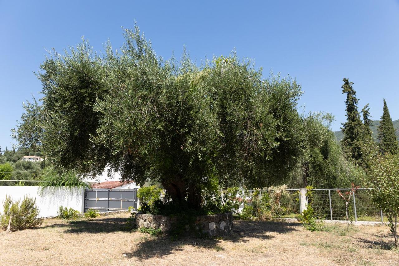 Apartmán Apricus Domum Kato Korakiana Exteriér fotografie